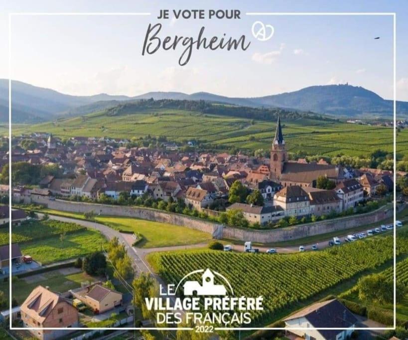 Gite Boniface Pour 2 Pers Bergheim Exterior foto