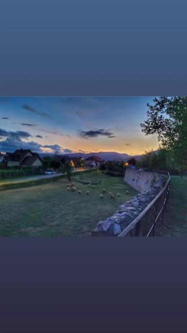 Gite Boniface Pour 2 Pers Bergheim Exterior foto