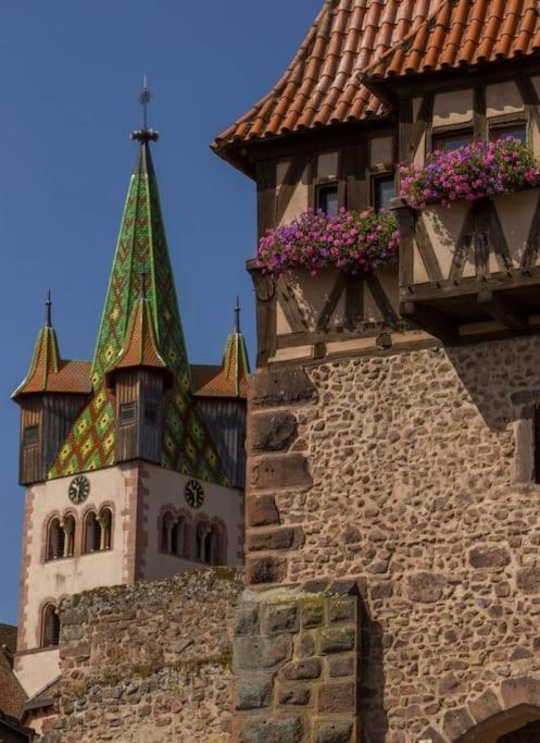 Gite Boniface Pour 2 Pers Bergheim Exterior foto